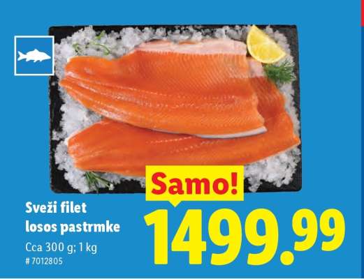 Sveži filet losos pastrmke