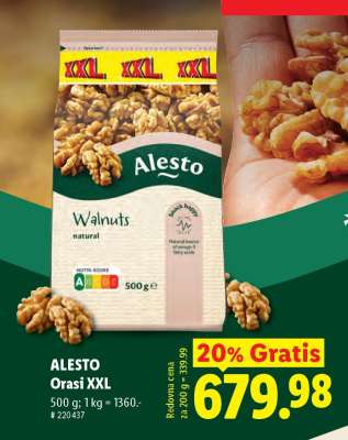 ALESTO Orasi XXL