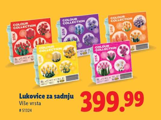 Lukovice za sadnju