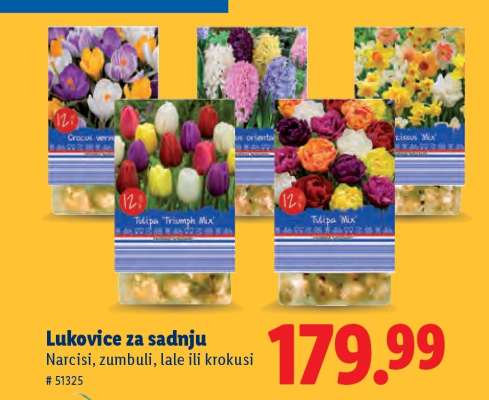 Lukovice za sadnju