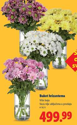 Buket hrizantema
