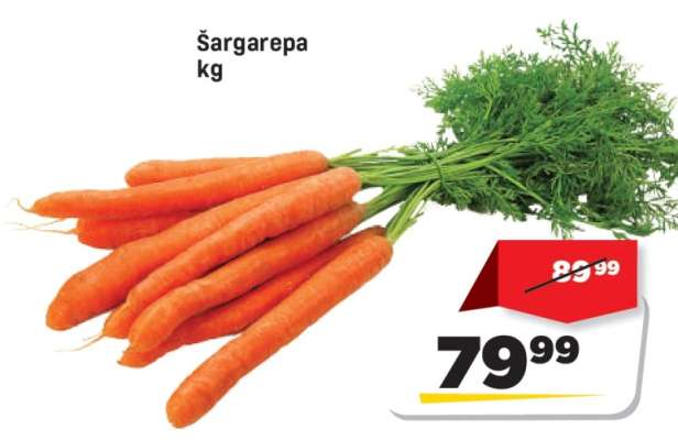 Šargarepa