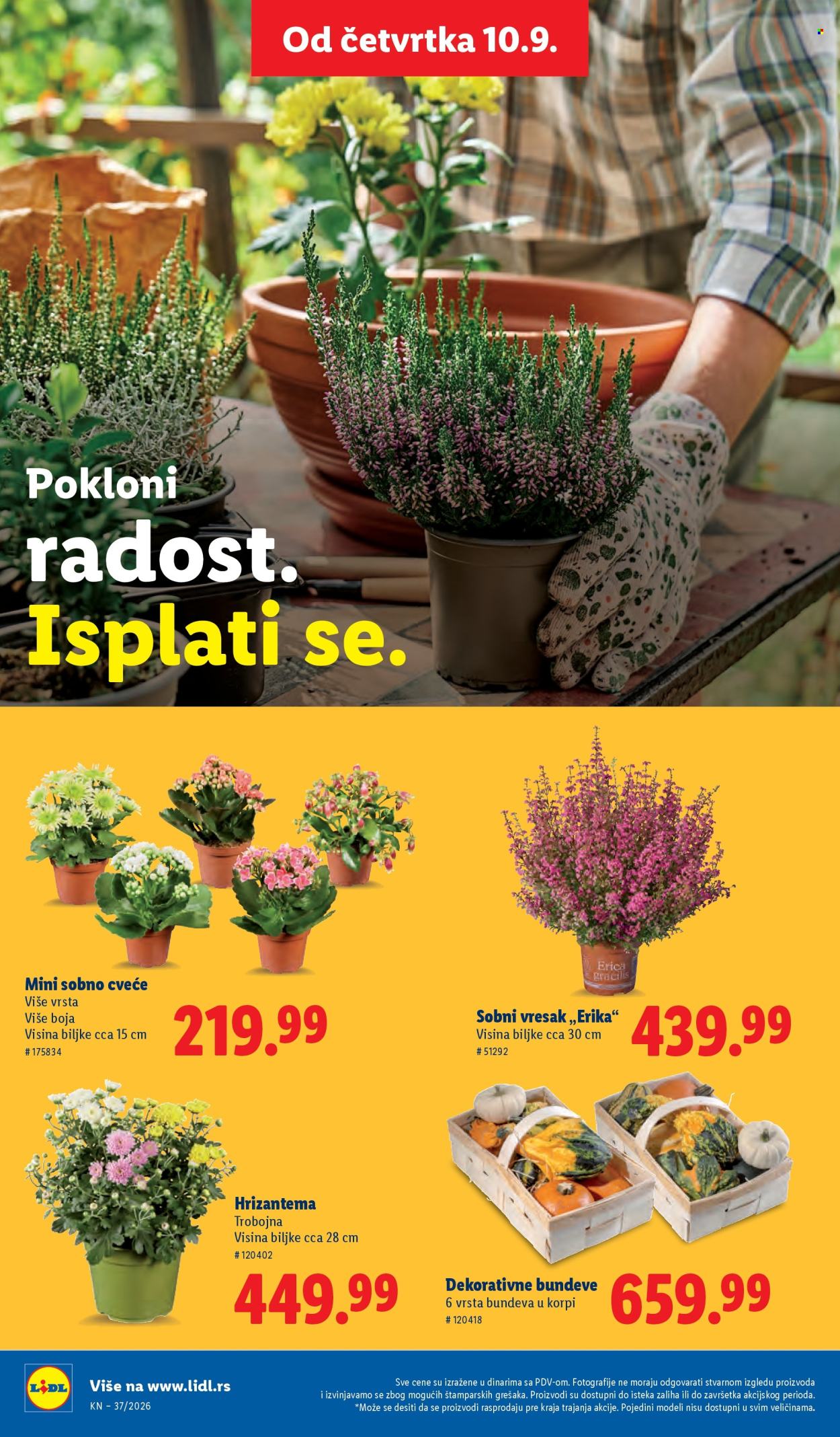Lidl katalog - 10.09.2026 - 16.09.2026. Stranica 60