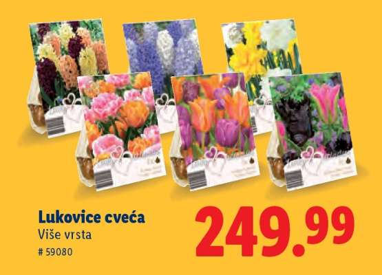 Lukovice cveća