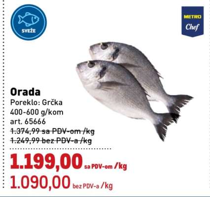 Orada