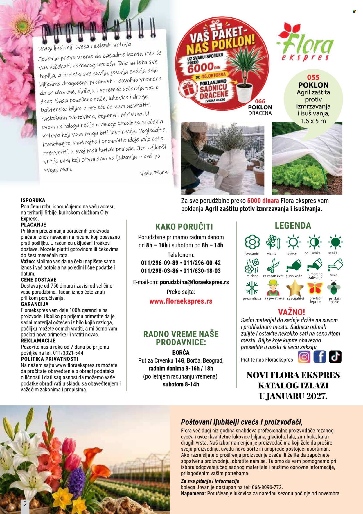 Flora Ekspres katalog. Stranica 2