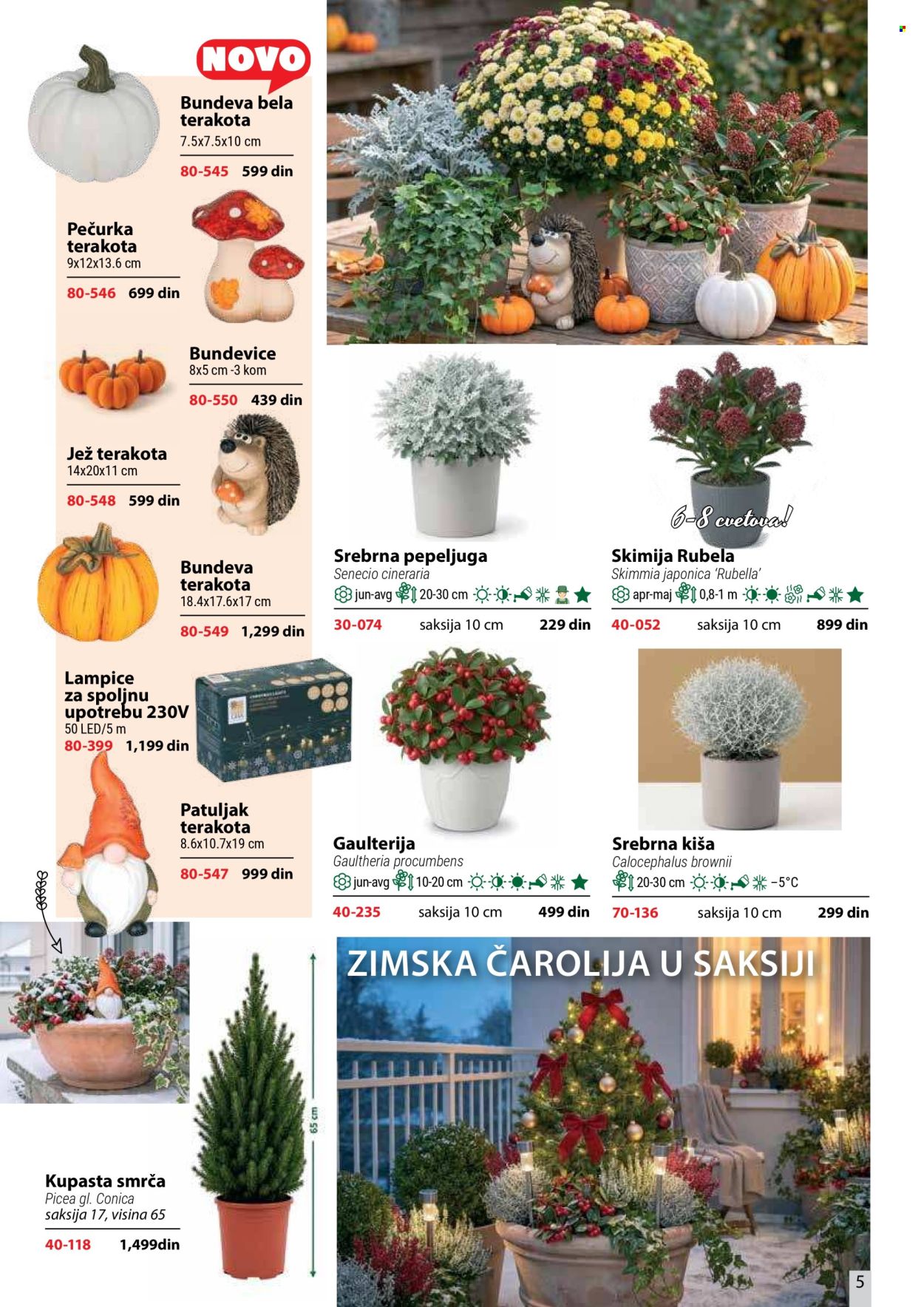 Flora Ekspres katalog. Stranica 5