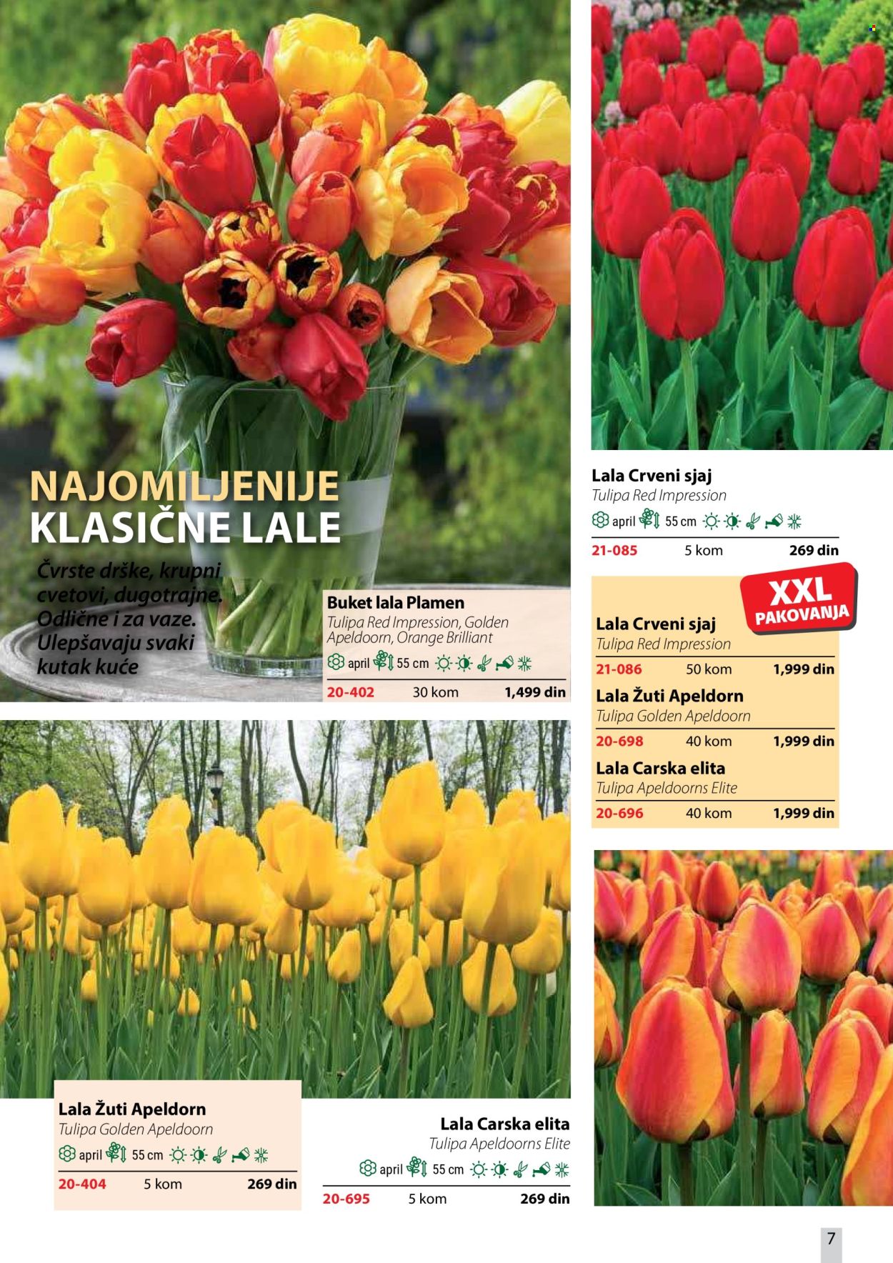 Flora Ekspres katalog. Stranica 7