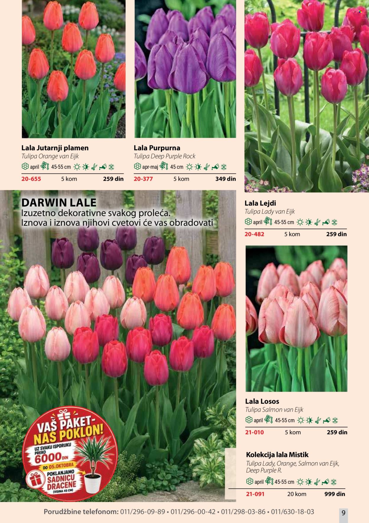 Flora Ekspres katalog. Stranica 9