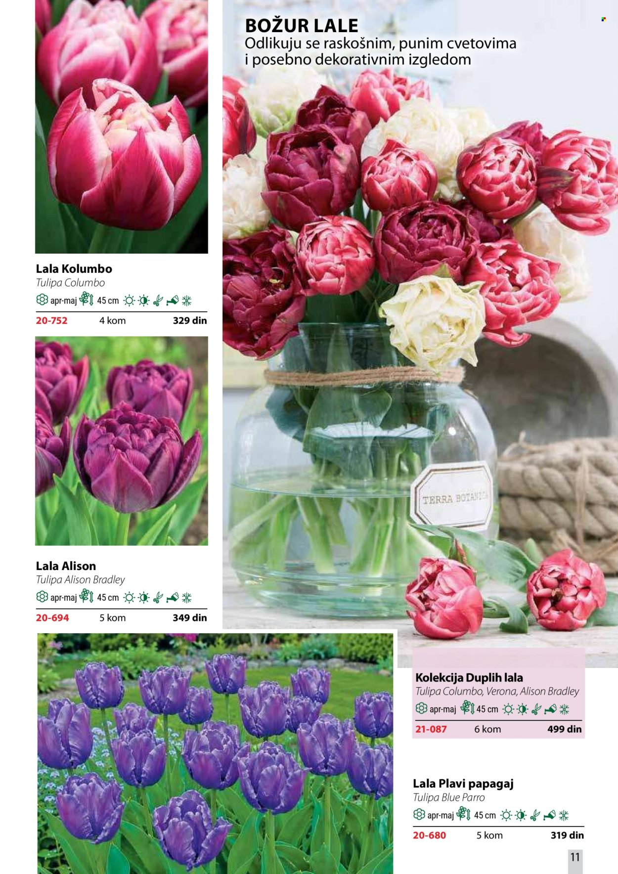 Flora Ekspres katalog. Stranica 11
