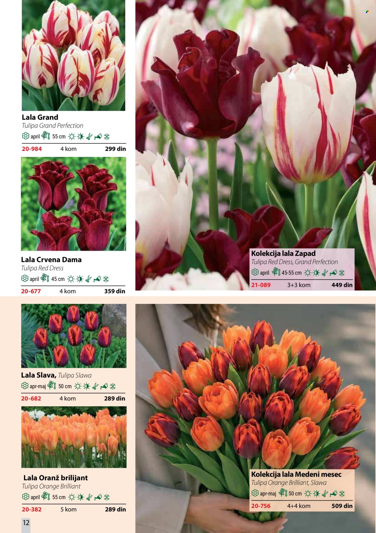 Flora Ekspres katalog. Stranica 12