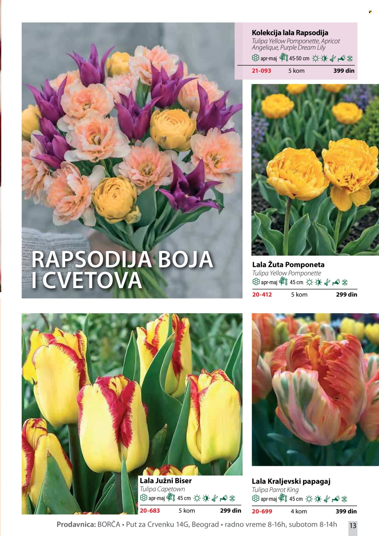 Flora Ekspres katalog. Stranica 13
