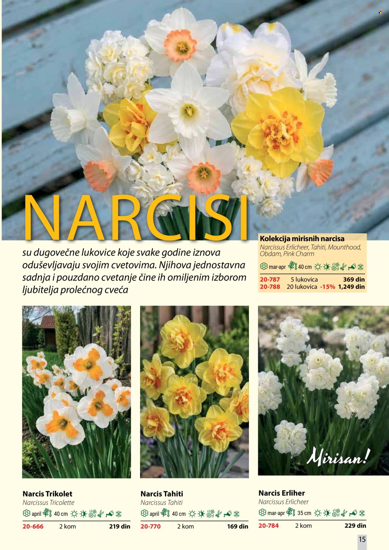 Flora Ekspres katalog. Stranica 15