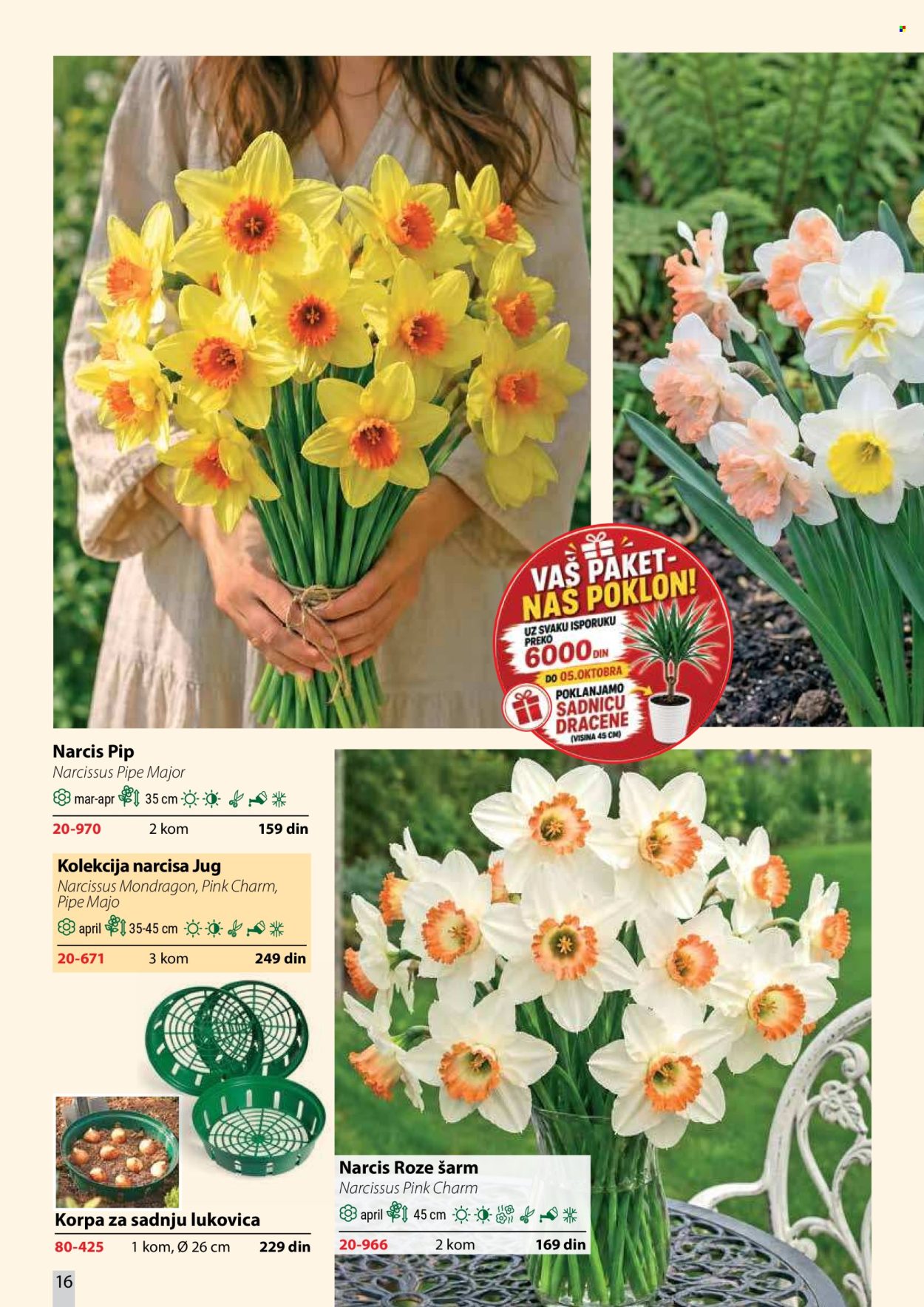 Flora Ekspres katalog. Stranica 16
