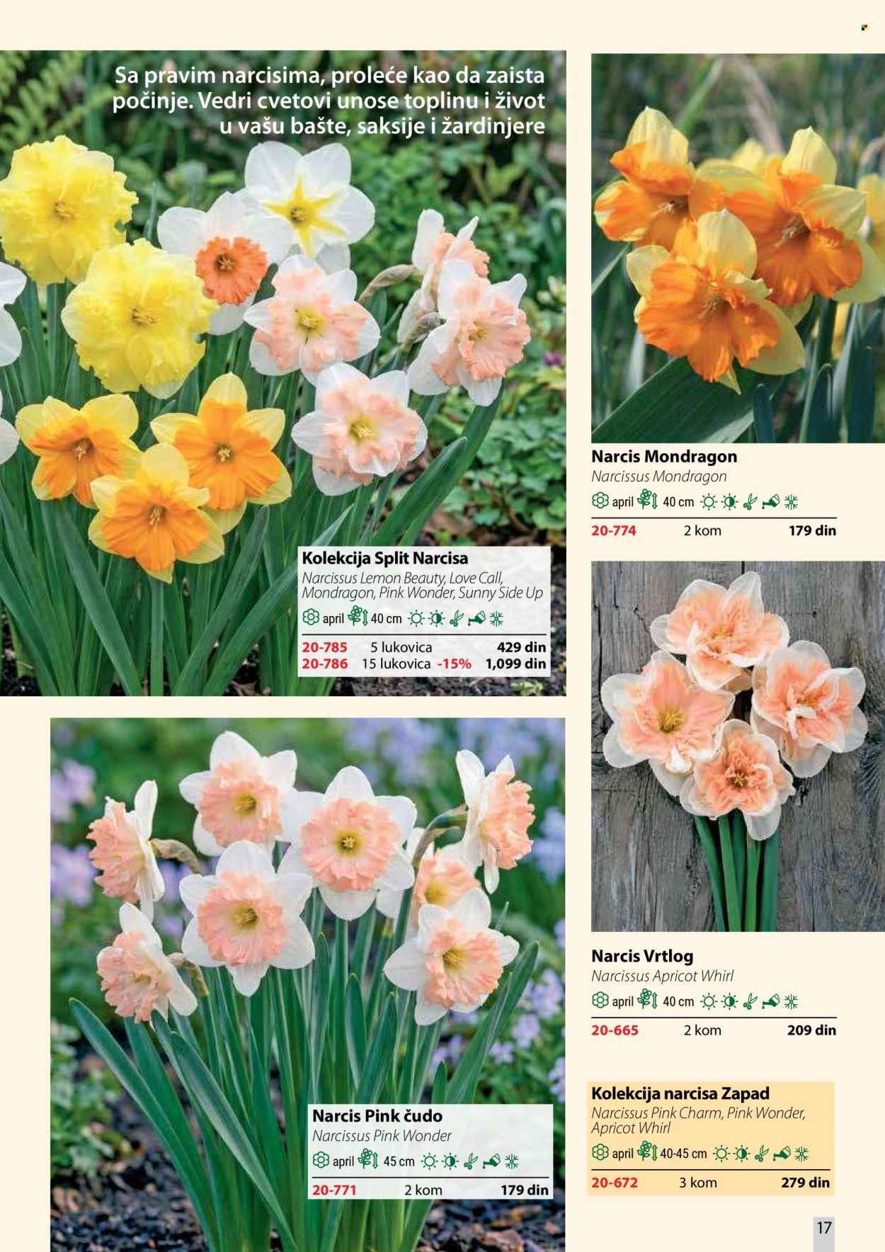 Flora Ekspres katalog. Stranica 17