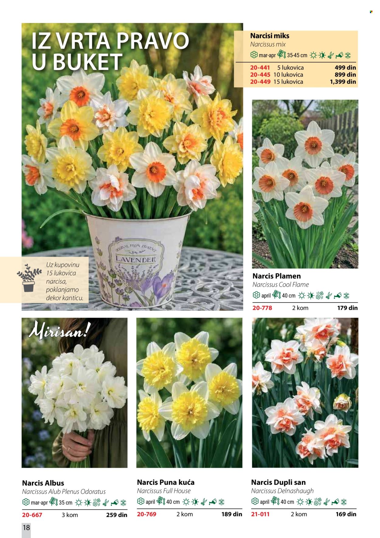 Flora Ekspres katalog. Stranica 18