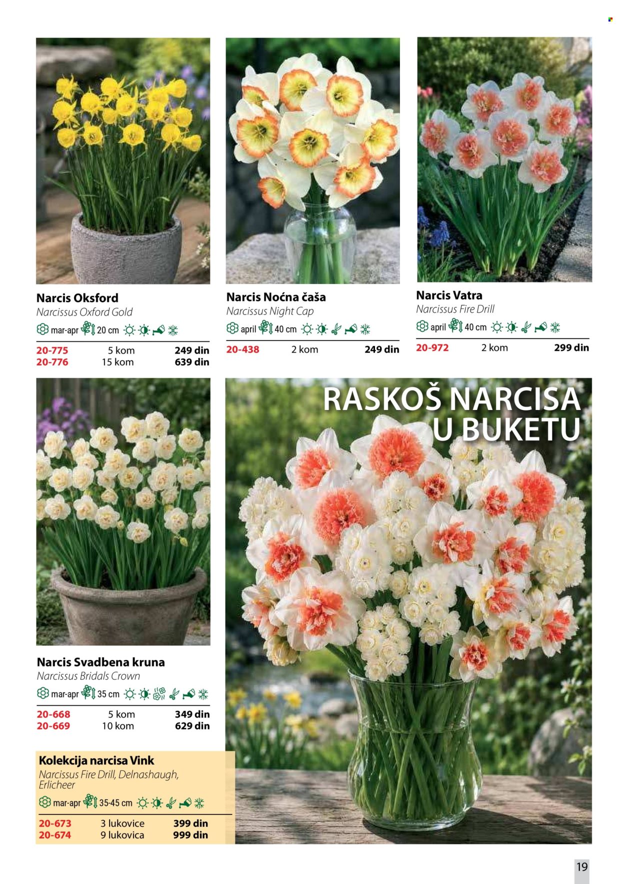 Flora Ekspres katalog. Stranica 19