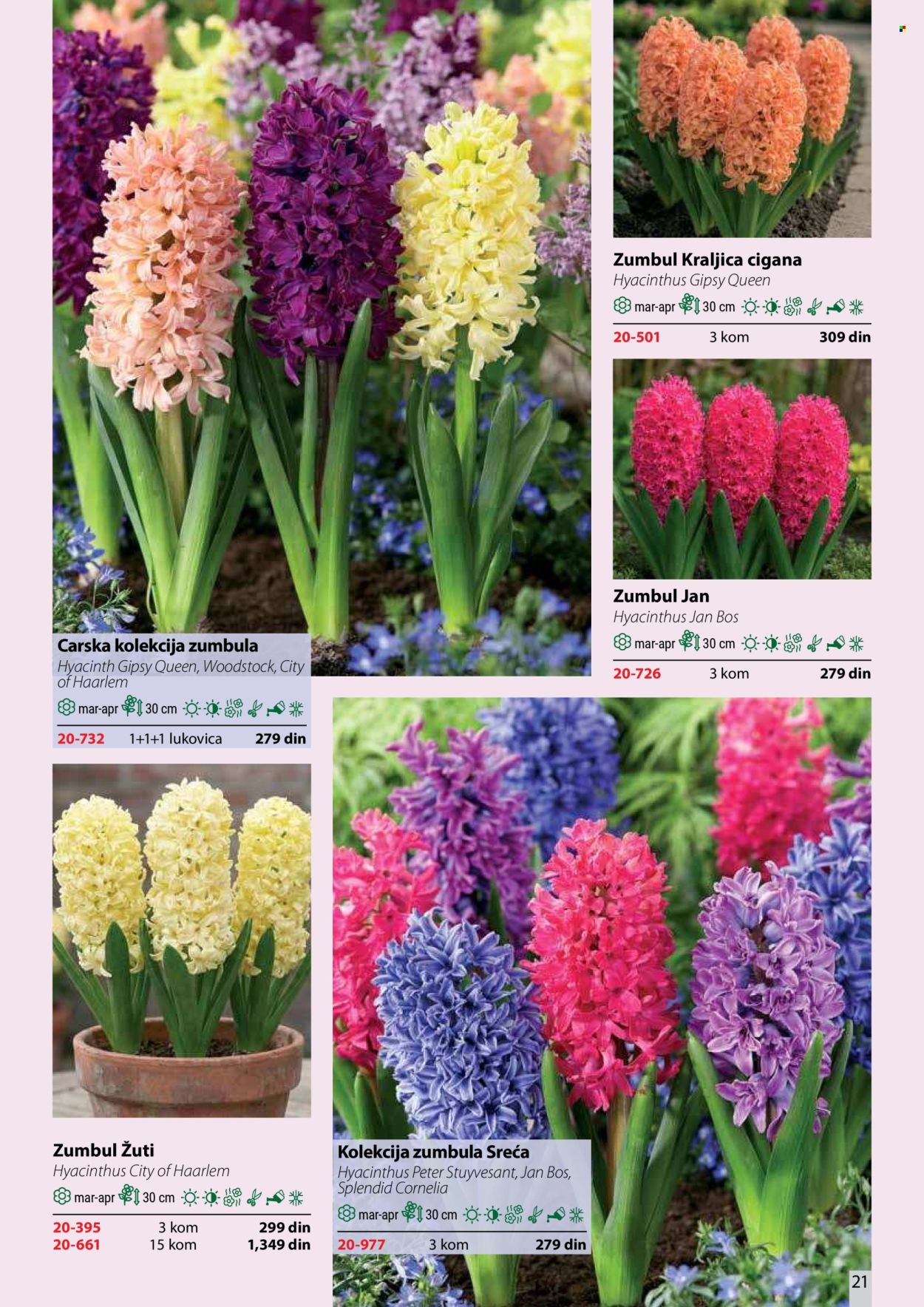 Flora Ekspres katalog. Stranica 21