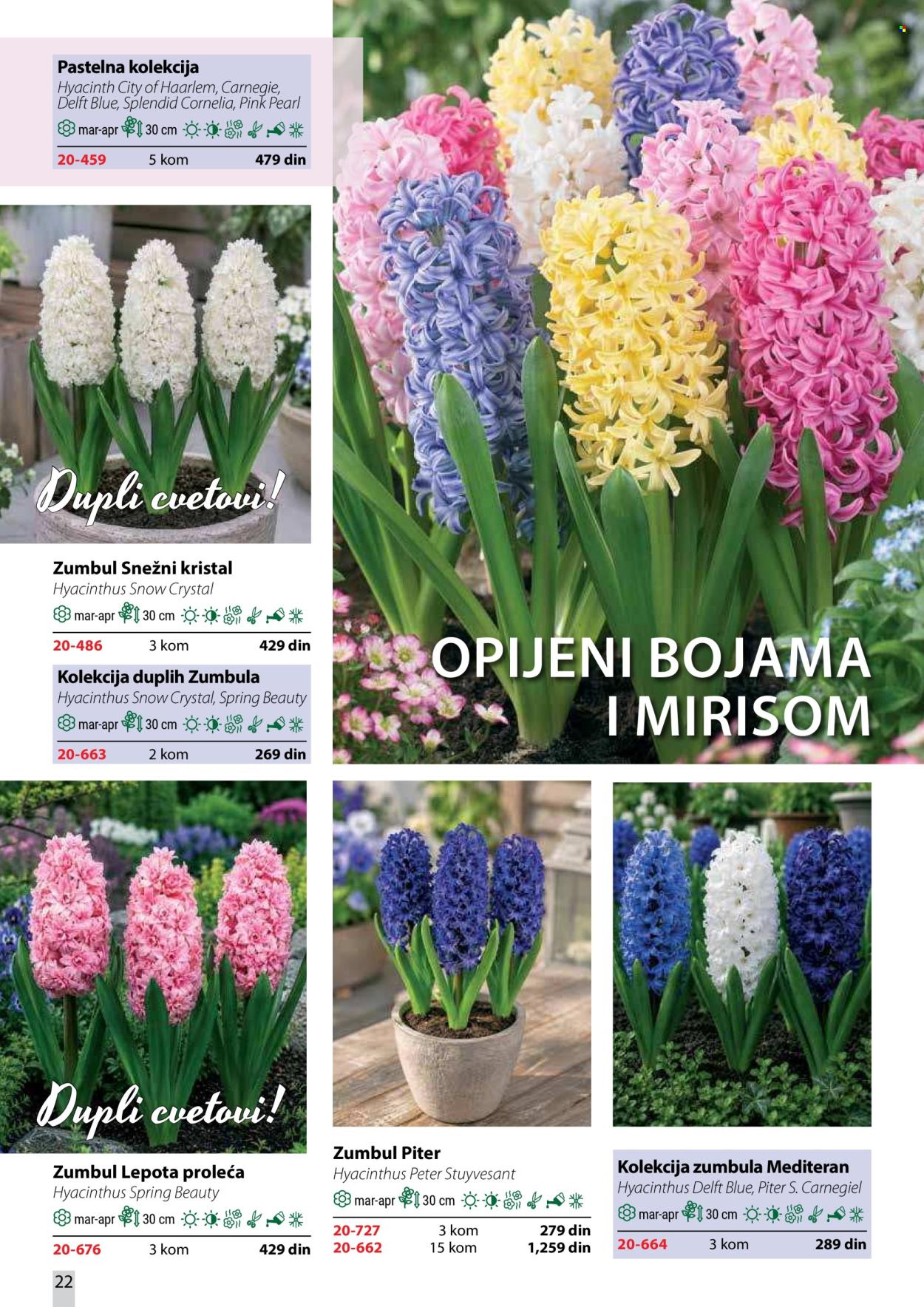 Flora Ekspres katalog. Stranica 22