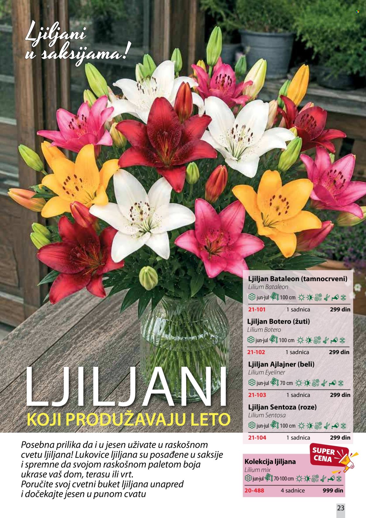 Flora Ekspres katalog. Stranica 23