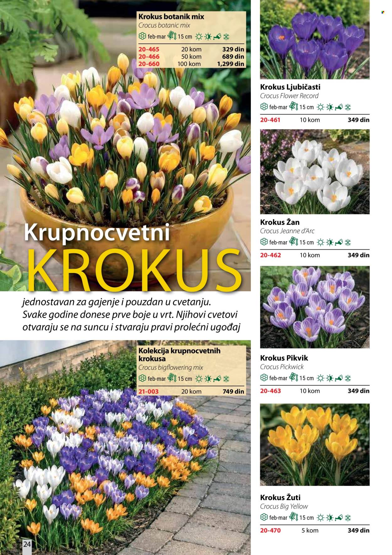 Flora Ekspres katalog. Stranica 24