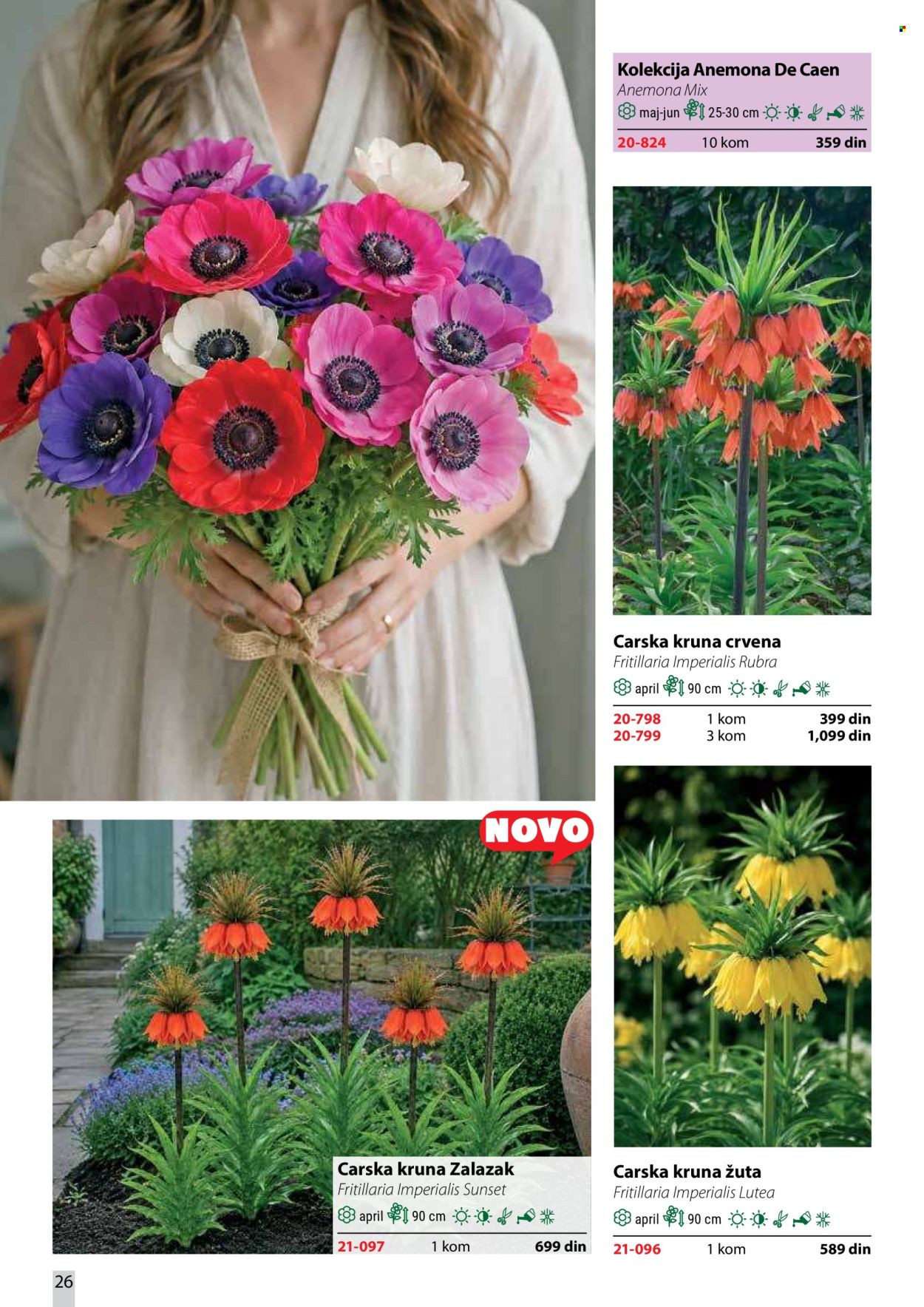 Flora Ekspres katalog. Stranica 26