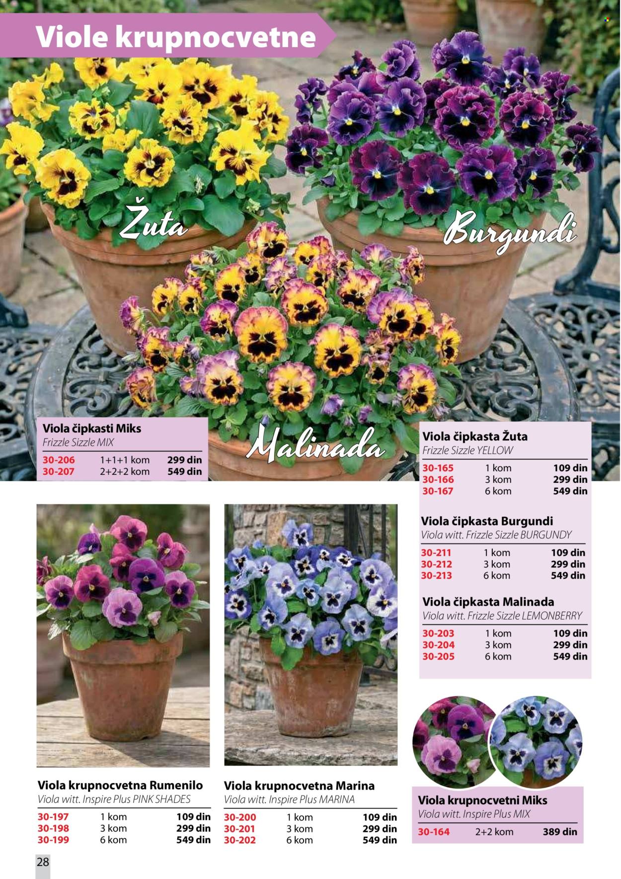 Flora Ekspres katalog. Stranica 28