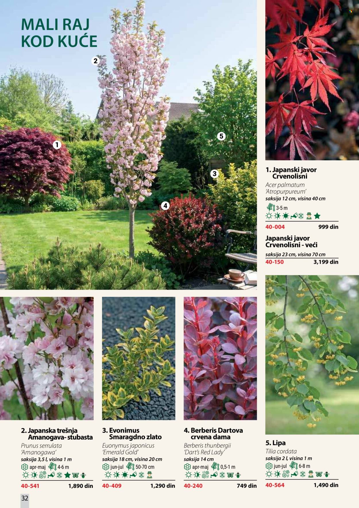Flora Ekspres katalog. Stranica 32