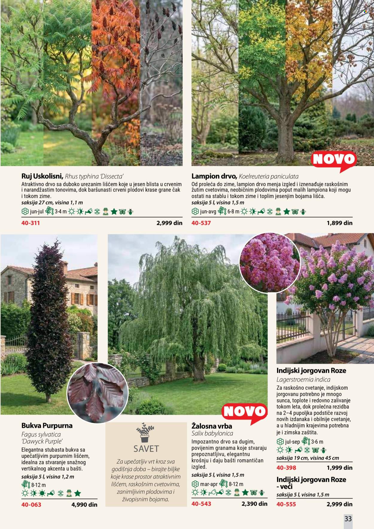 Flora Ekspres katalog. Stranica 33