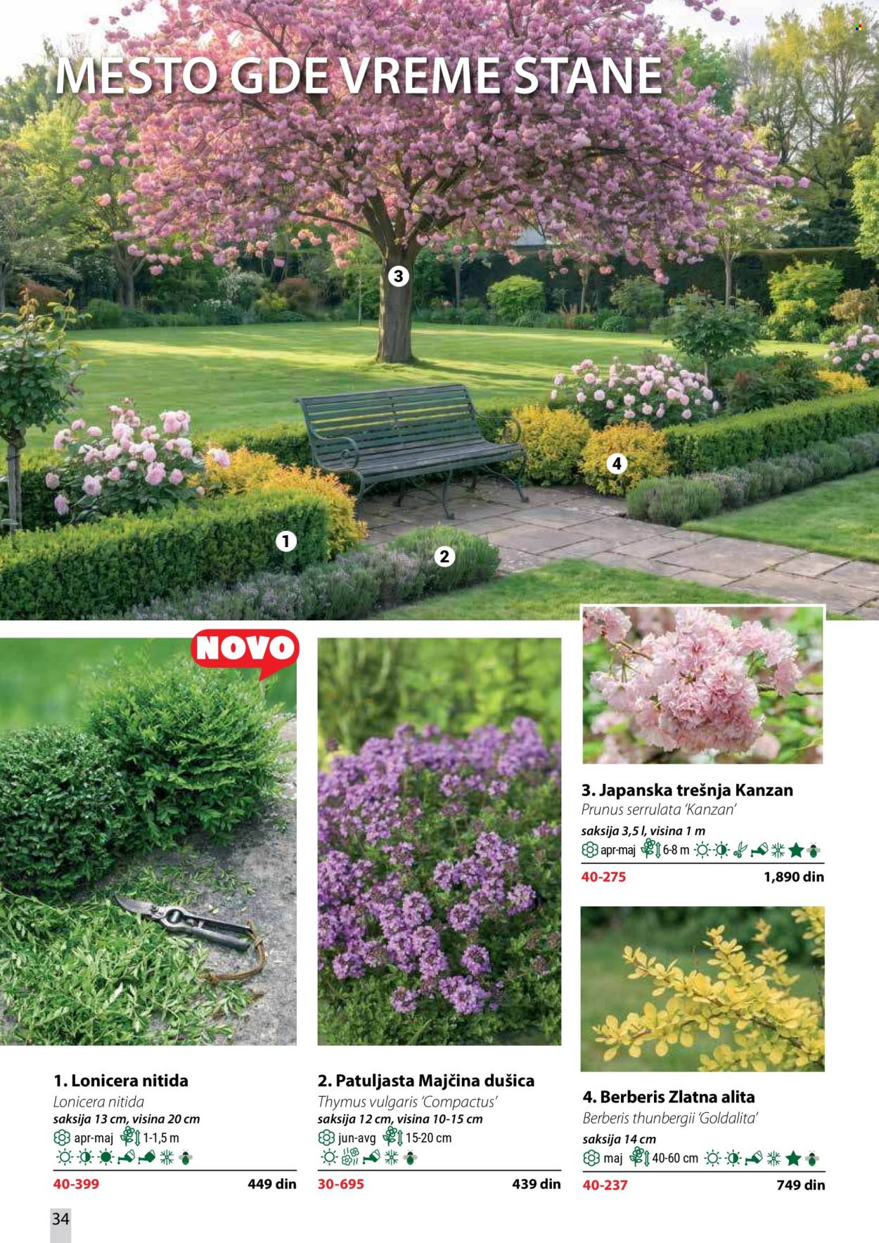Flora Ekspres katalog. Stranica 34