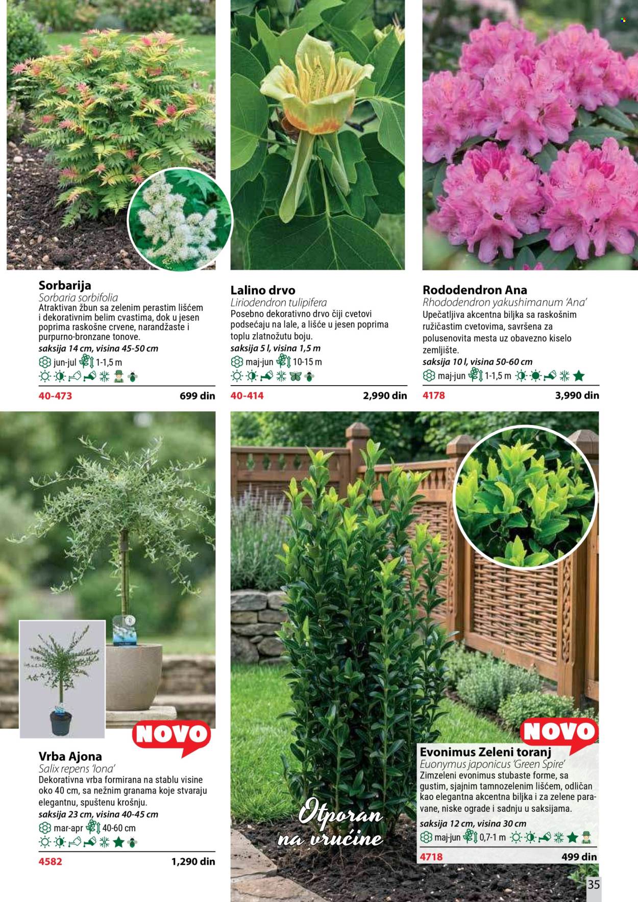 Flora Ekspres katalog. Stranica 35
