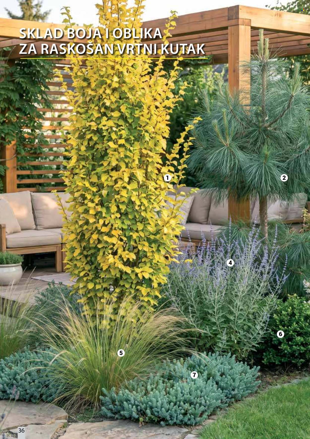 Flora Ekspres katalog. Stranica 36