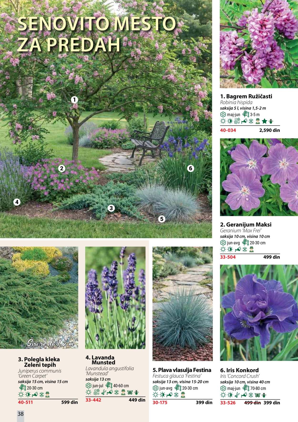 Flora Ekspres katalog. Stranica 38