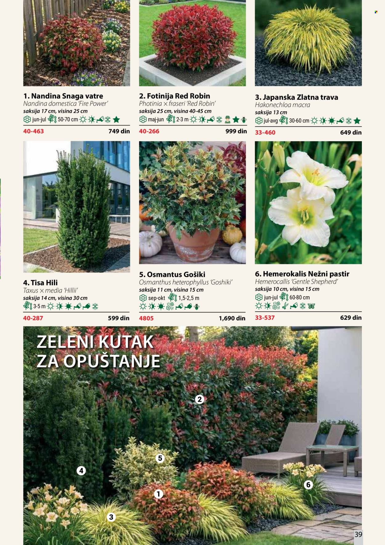 Flora Ekspres katalog. Stranica 39