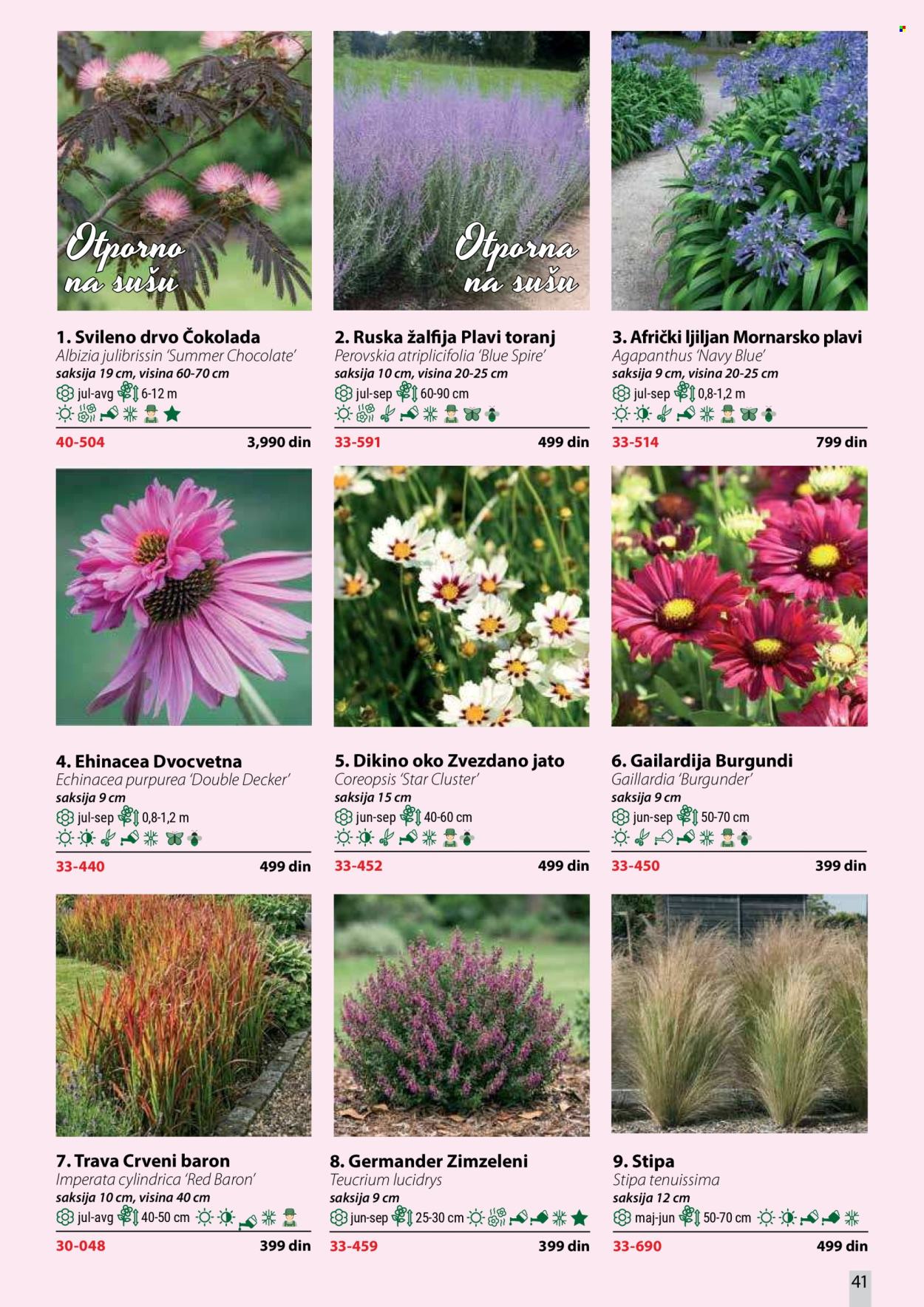 Flora Ekspres katalog. Stranica 41