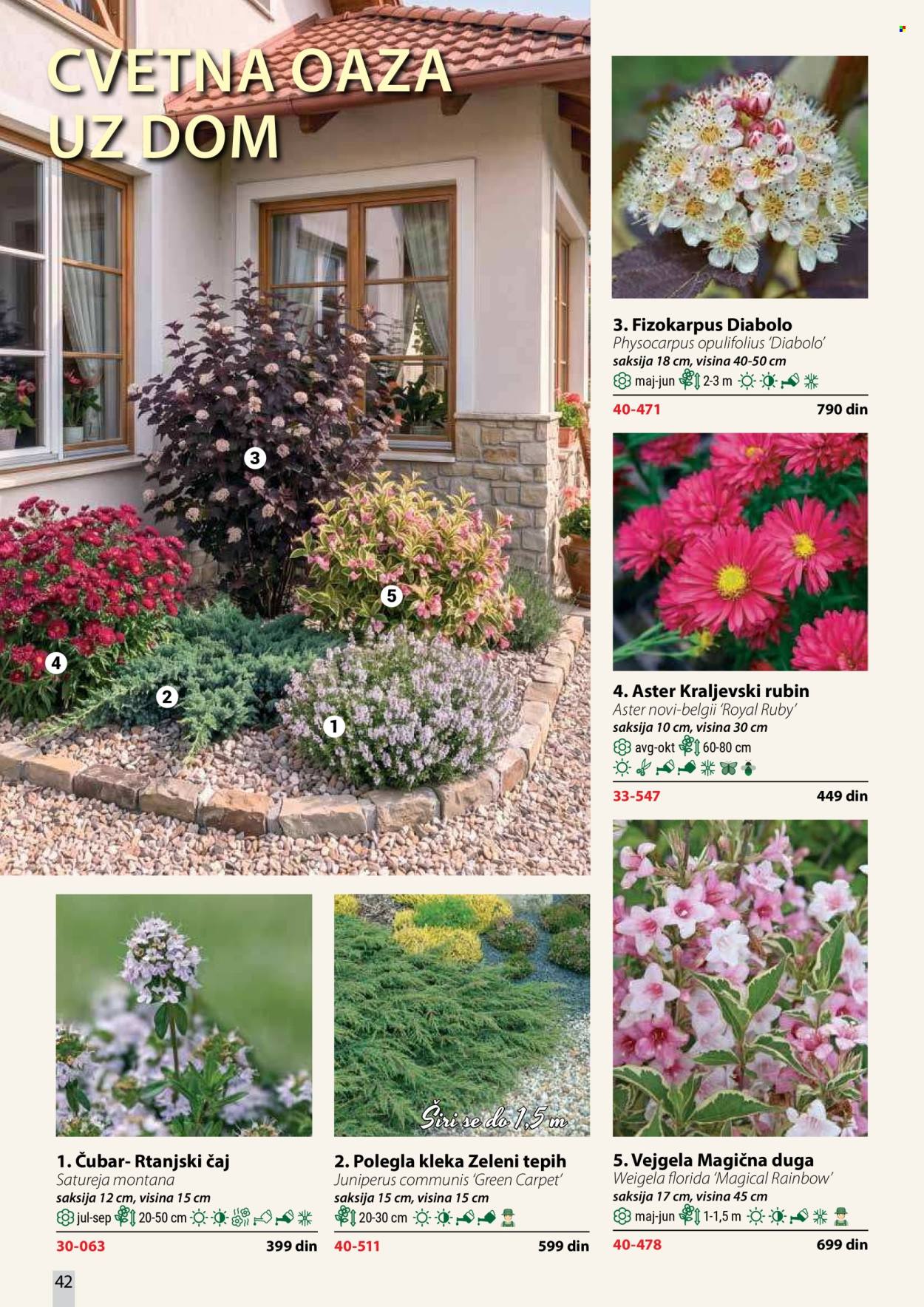 Flora Ekspres katalog. Stranica 42
