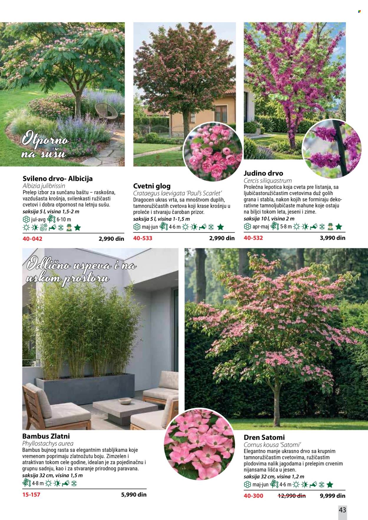 Flora Ekspres katalog. Stranica 43