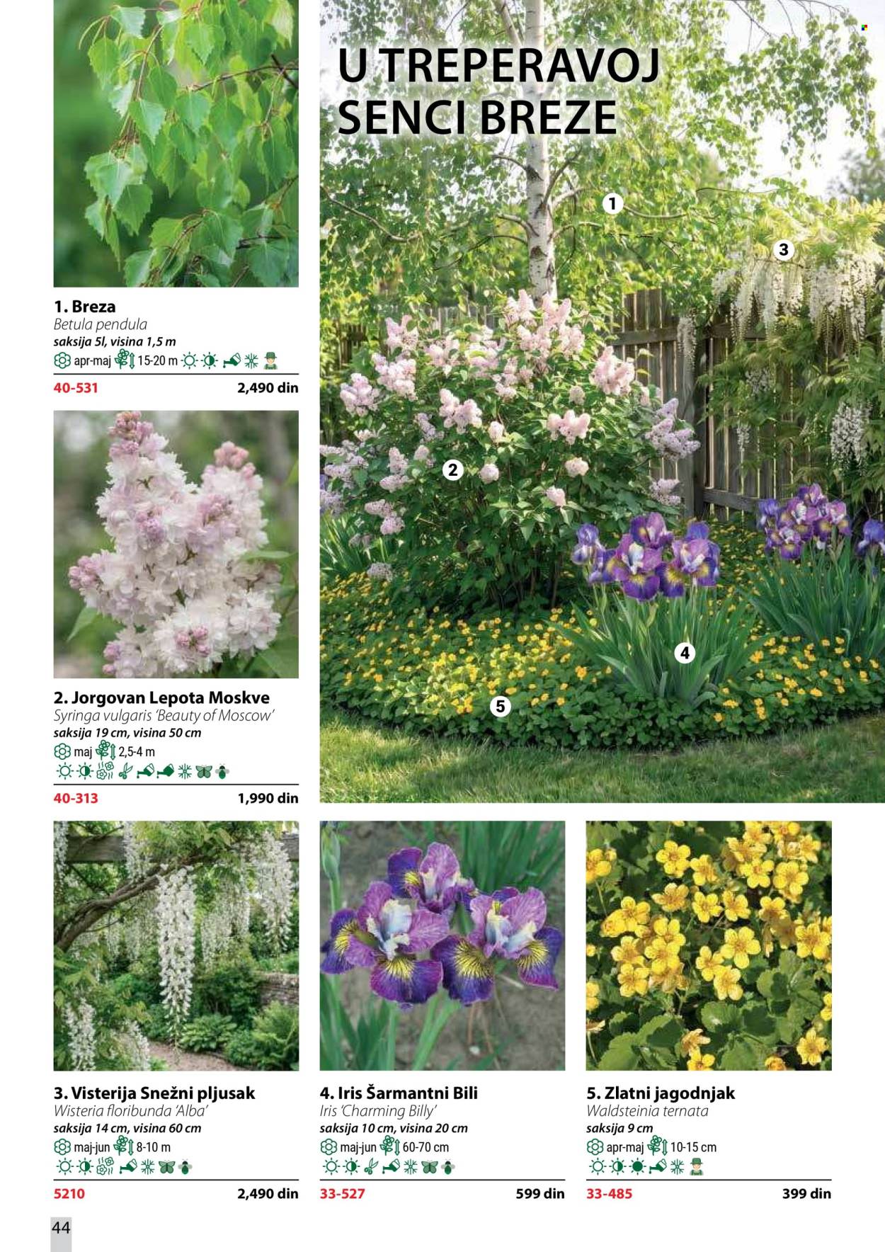 Flora Ekspres katalog. Stranica 44