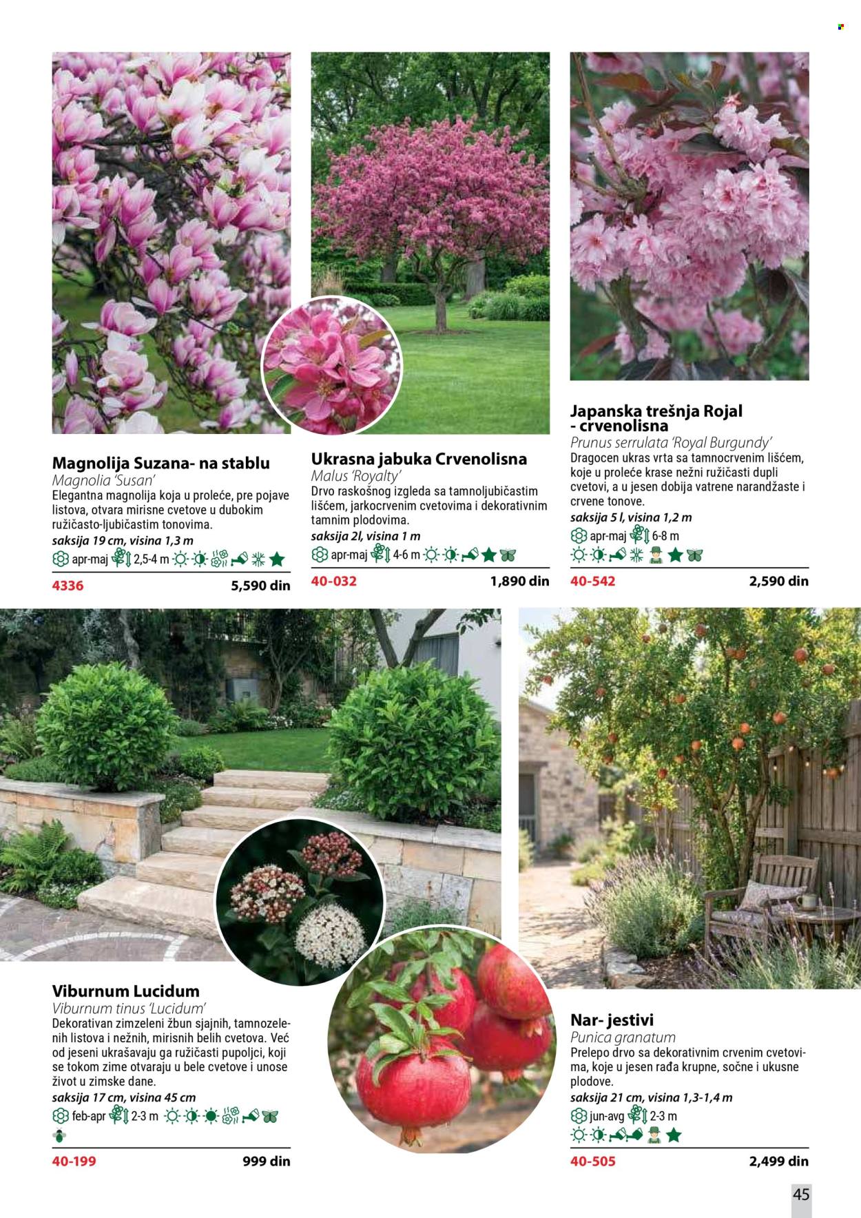 Flora Ekspres katalog. Stranica 45