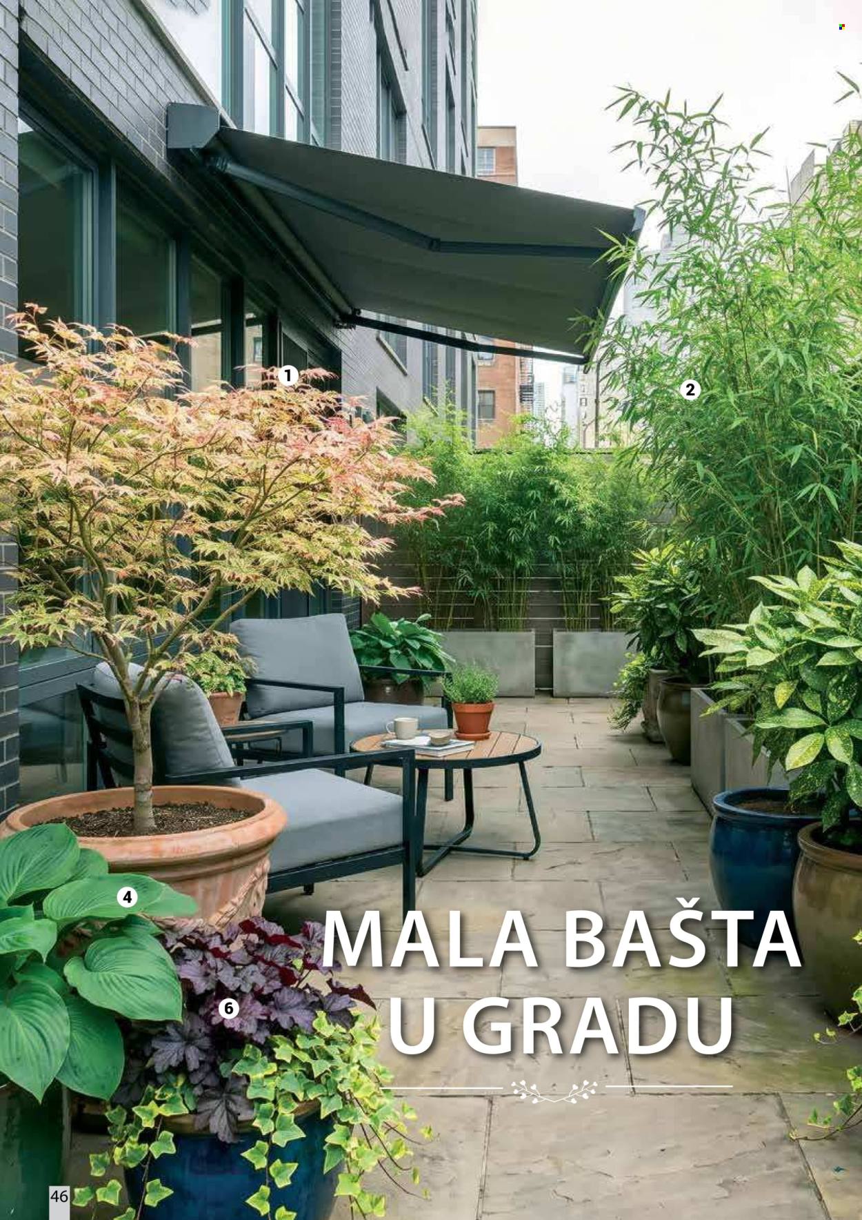 Flora Ekspres katalog. Stranica 46