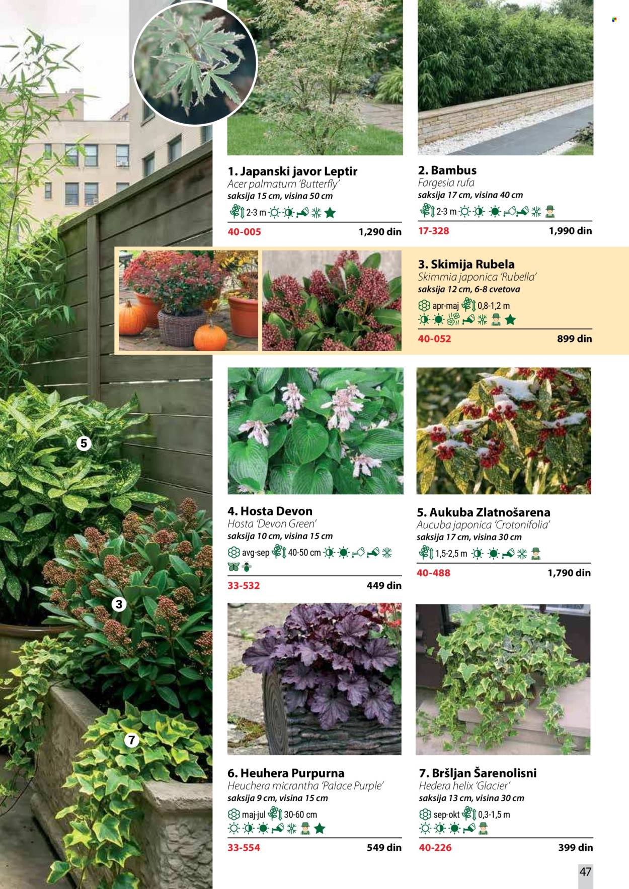 Flora Ekspres katalog. Stranica 47