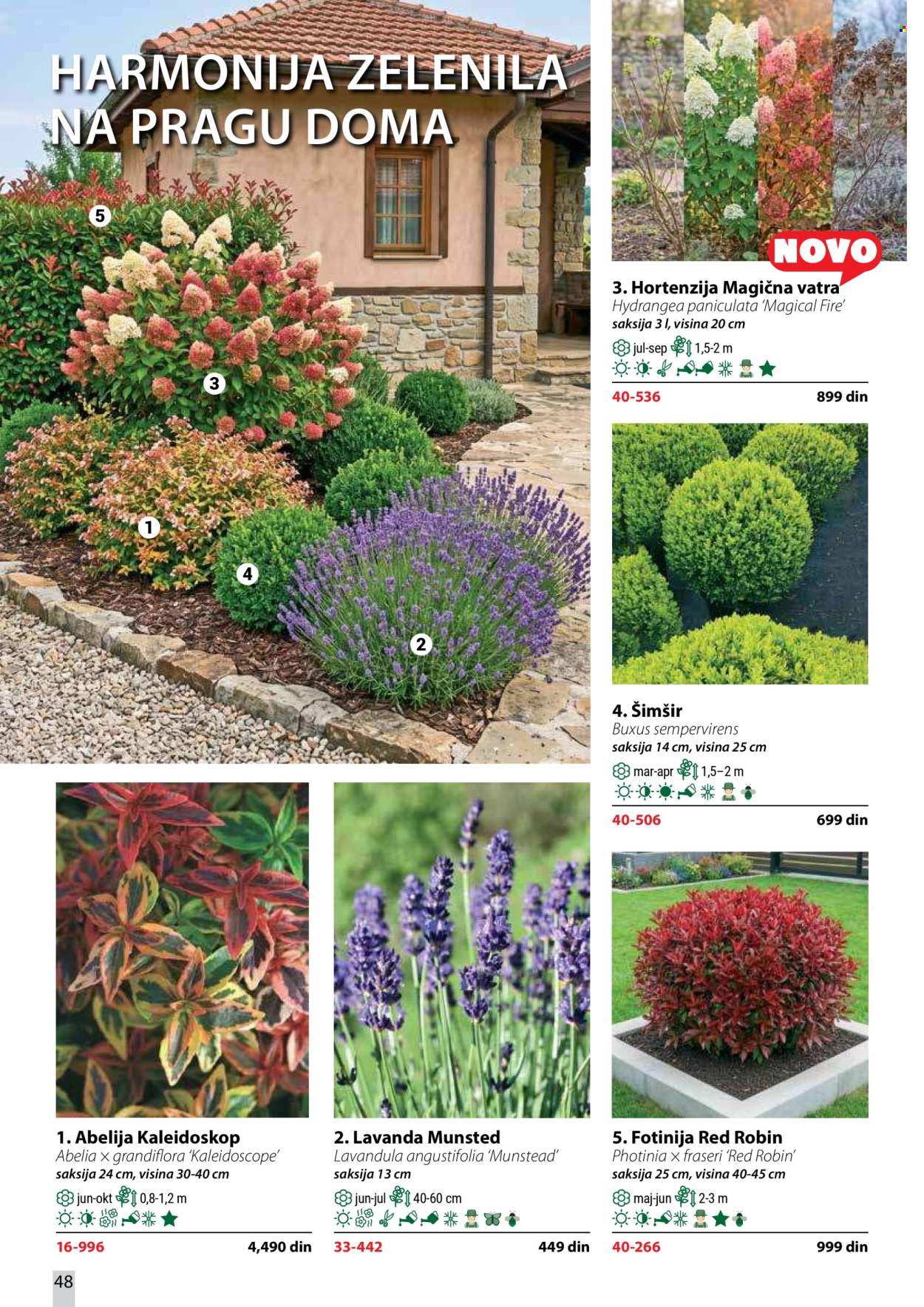 Flora Ekspres katalog. Stranica 48