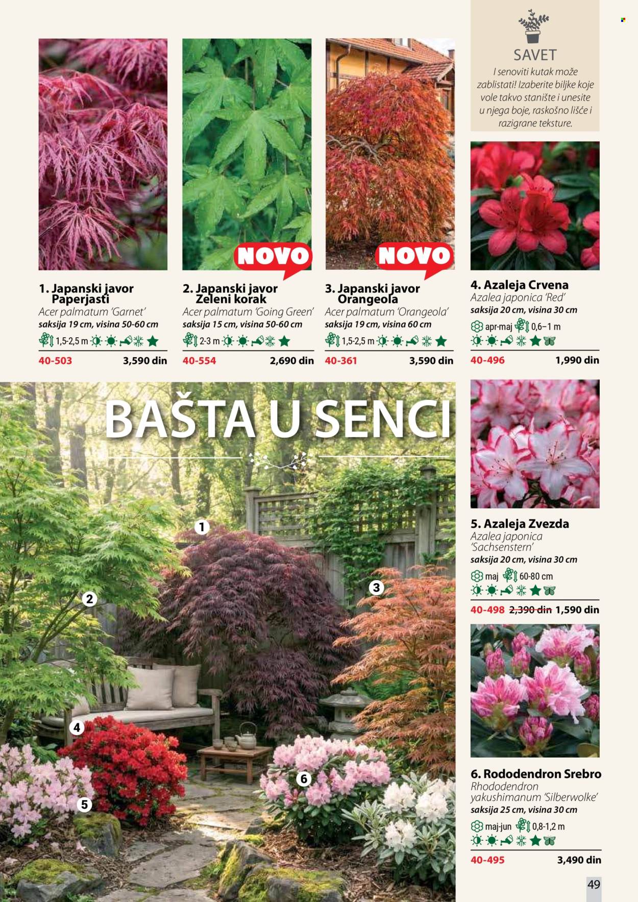 Flora Ekspres katalog. Stranica 49