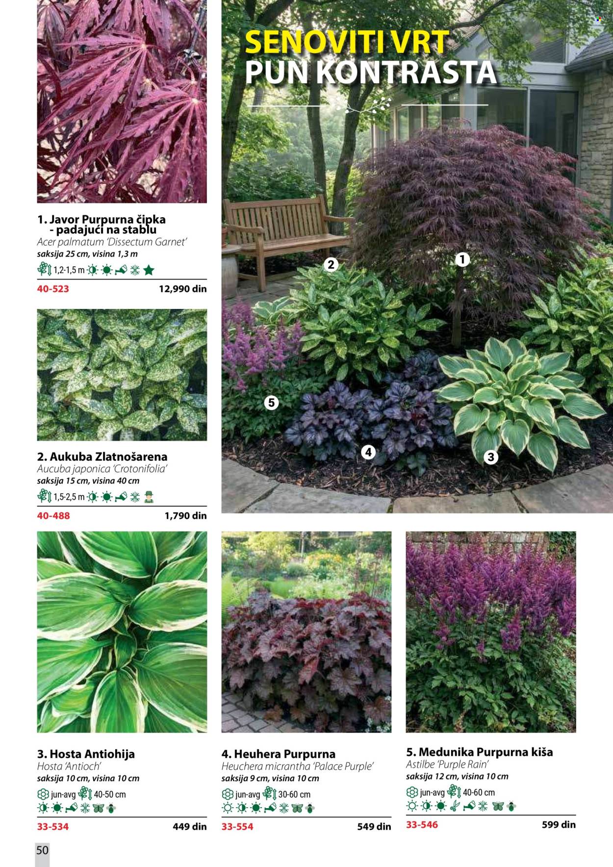 Flora Ekspres katalog. Stranica 50