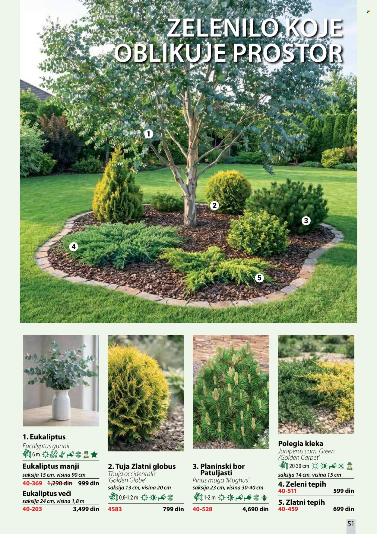 Flora Ekspres katalog. Stranica 51