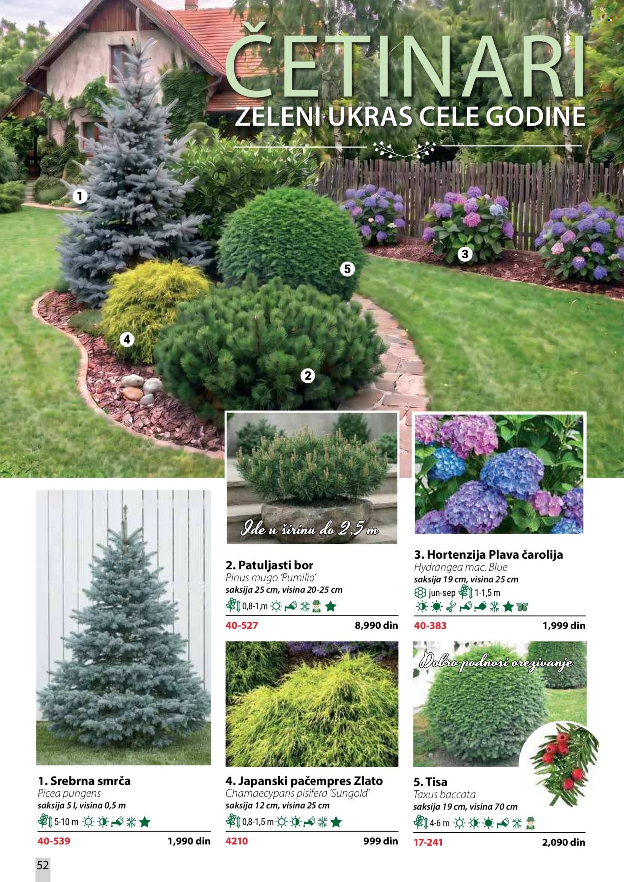 Flora Ekspres katalog. Stranica 52