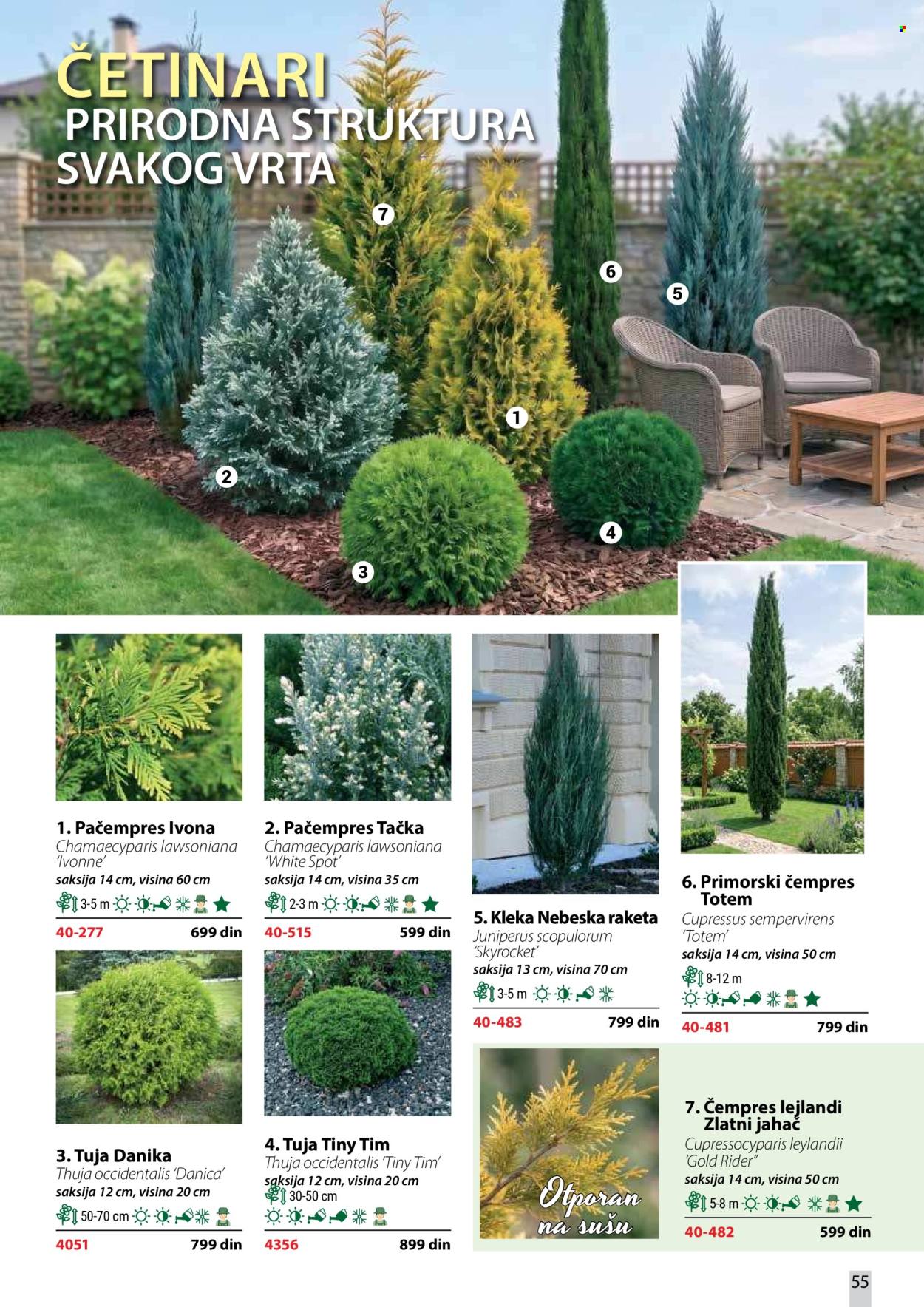 Flora Ekspres katalog. Stranica 55