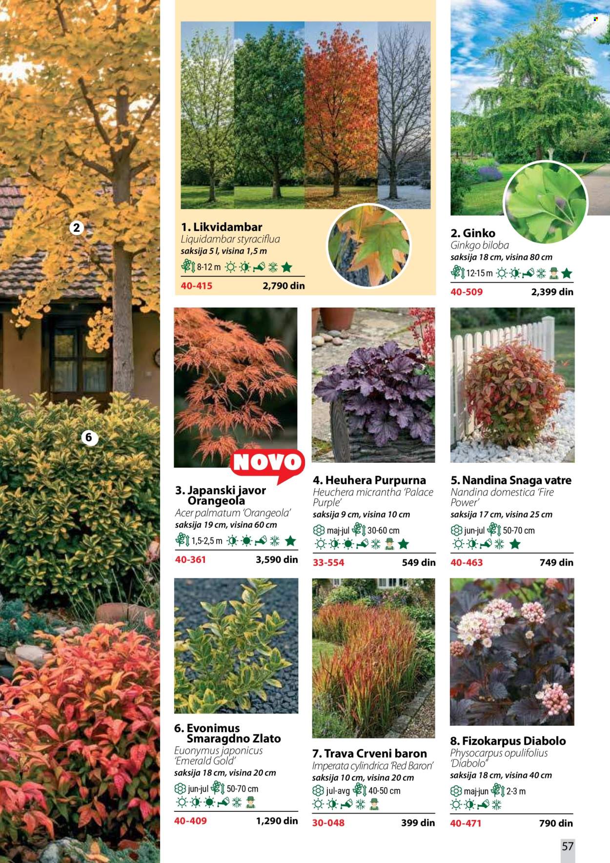 Flora Ekspres katalog. Stranica 57