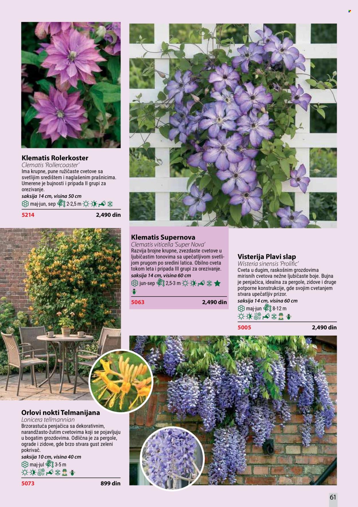 Flora Ekspres katalog. Stranica 61
