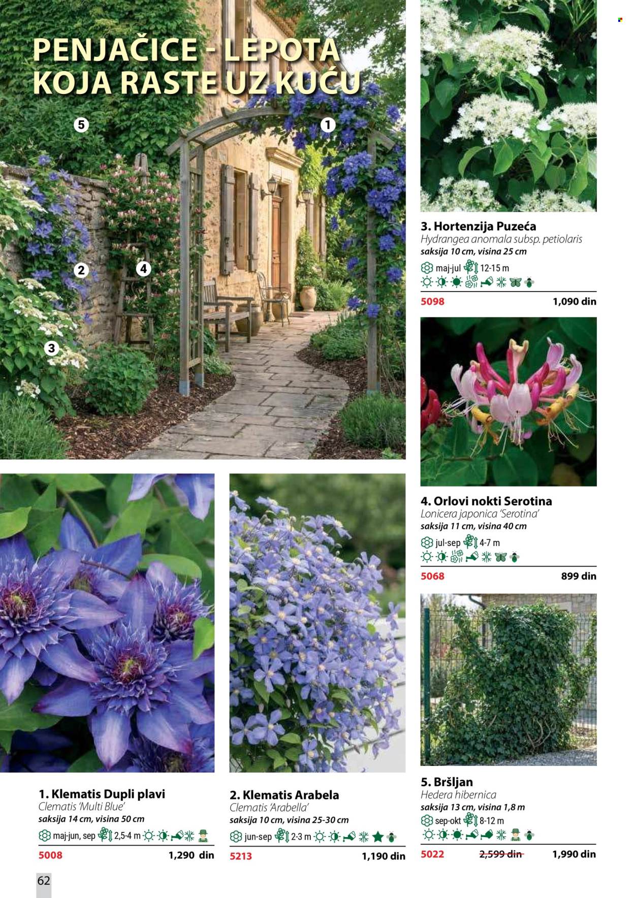 Flora Ekspres katalog. Stranica 62